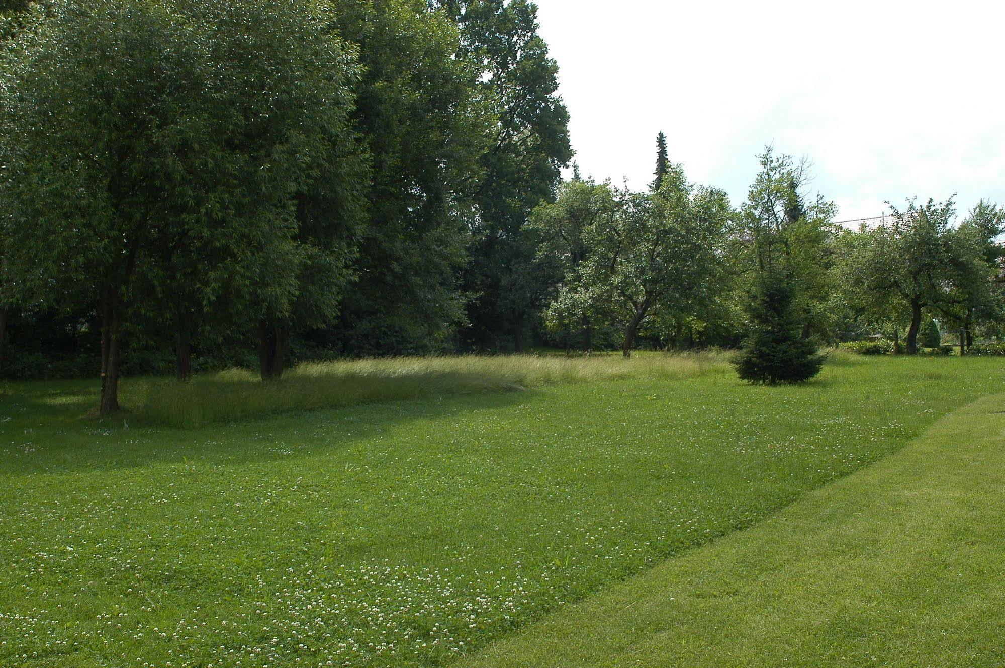 Landgasthof Und Hotel Weisser Lowe Eckental Eksteriør billede